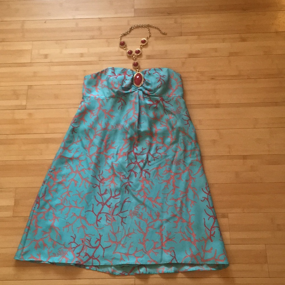 Lilly Pulitzer Jubilee Dress 2